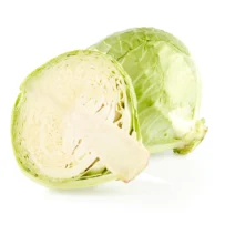 Cabbage