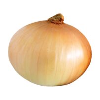 Onion